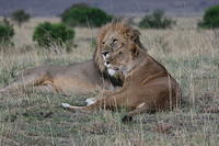 IMG_3889.JPG