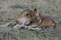 IMG_3909.JPG