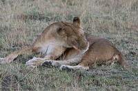 IMG_3910.JPG