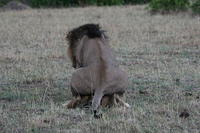 IMG_3920.JPG
