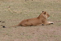 IMG_3970.JPG