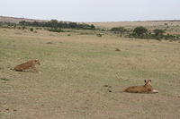 IMG_3971.JPG