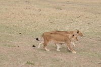 IMG_3973.JPG