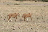IMG_3974.JPG