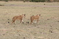 IMG_3975.JPG