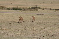 IMG_3976.JPG