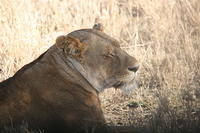 IMG_4279.JPG