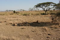 IMG_4282.JPG