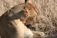 IMG_4290.JPG