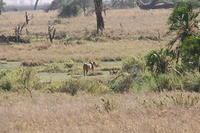 IMG_4297.JPG