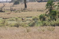 IMG_4298.JPG