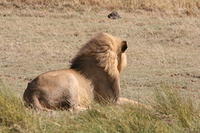 IMG_4311.JPG