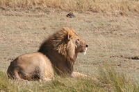 IMG_4312.JPG