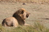 IMG_4313.JPG