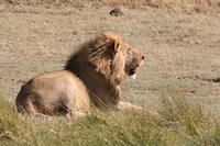 IMG_4314.JPG