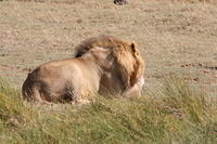 IMG_4316.JPG