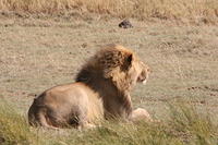 IMG_4317.JPG