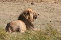 IMG_4319.JPG