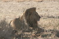 IMG_4321.JPG