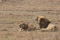 IMG_4324.JPG