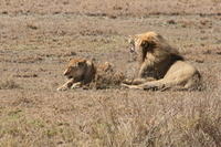 IMG_4326.JPG