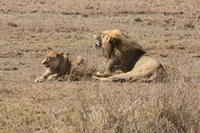 IMG_4328.JPG