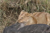 IMG_4373.JPG