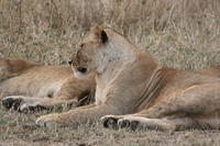 IMG_4377.JPG