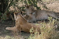 IMG_4457.JPG