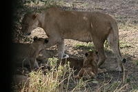 IMG_4461.JPG