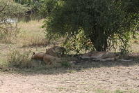 IMG_4463.JPG