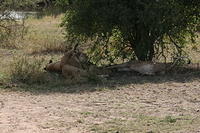 IMG_4464.JPG