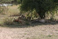 IMG_4465.JPG
