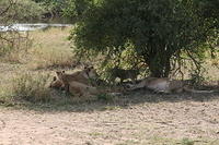 IMG_4467.JPG