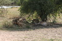 IMG_4468.JPG