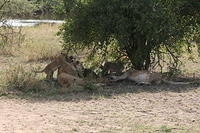 IMG_4469.JPG