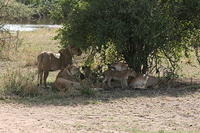 IMG_4472.JPG