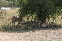 IMG_4473.JPG
