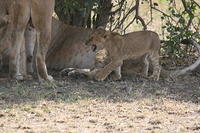 IMG_4477.JPG