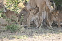 IMG_4478.JPG