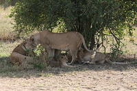 IMG_4485.JPG