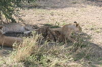 IMG_4490.JPG