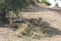 IMG_4492.JPG