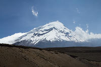 IMG_6540