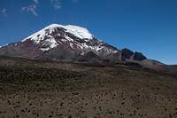 IMG_6584