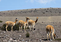 IMG_6572