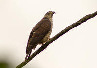 IMG_6860