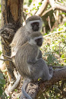 IMG 9842