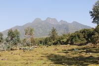 Scenery