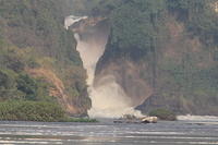 IMG 0881
